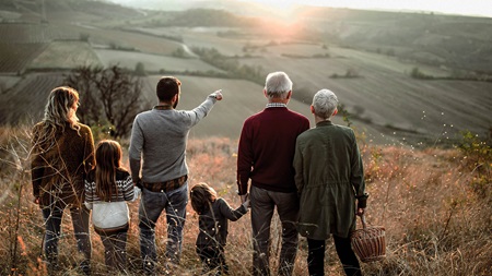 Kigger ud over en mark