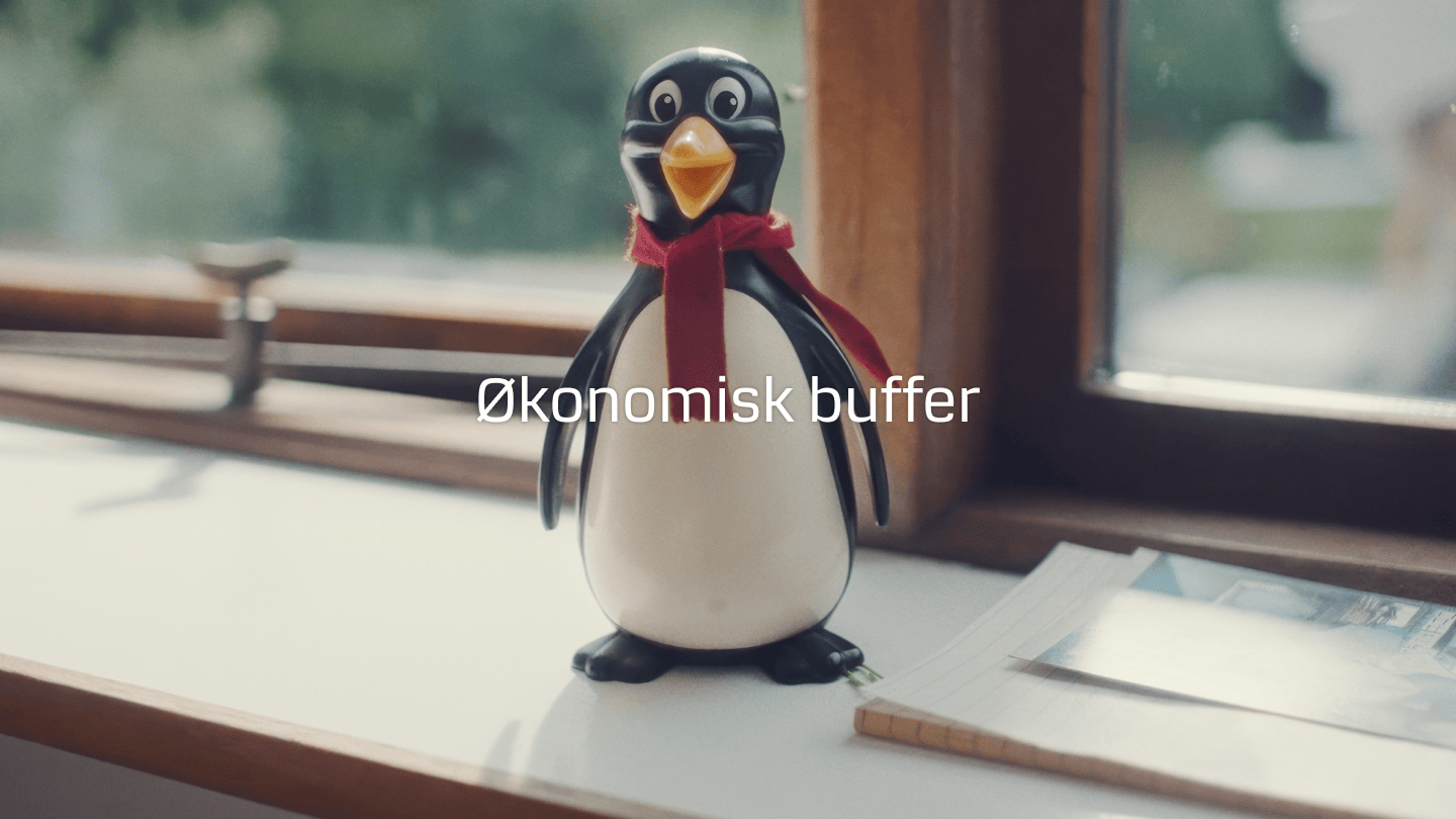 Økonomisk buffer_Pingo