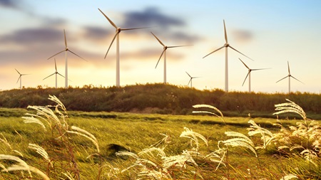 Bæredygtig energi fra vindmøller i dansk landskab