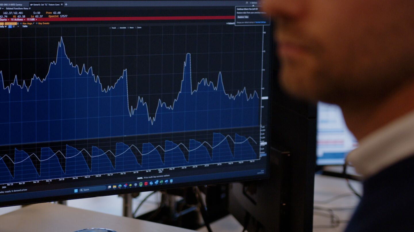 Glad kvinde har styr på sin risikospredning 