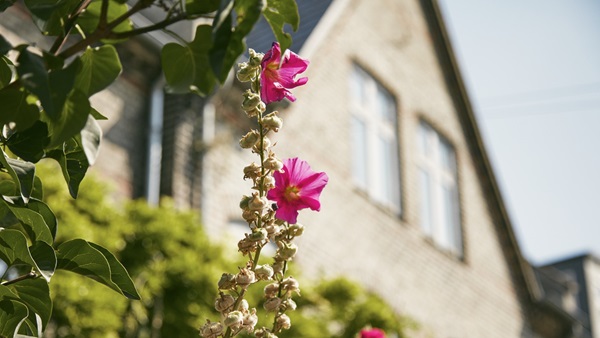 Boligmarkedet: Hvad forventer eksperterne af 2026?