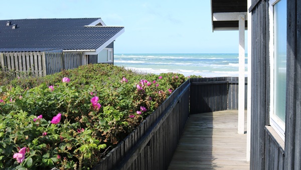 Stort sommerhustema: Laveste antal familiehandler i 15 år – og gode tip, hvis du skal købe eller overdrage